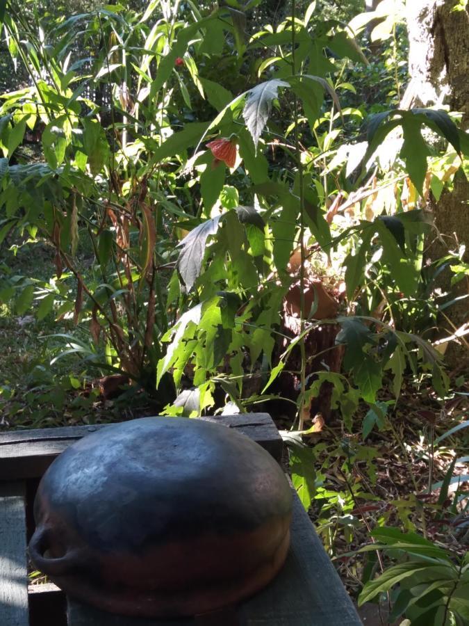 푸에르토이과수 Jardin De Naipi 2 아파트 외부 사진