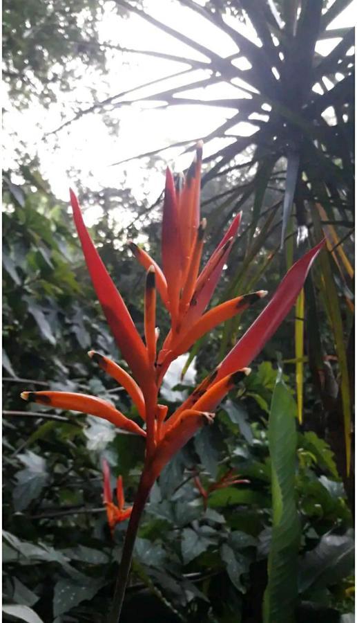 푸에르토이과수 Jardin De Naipi 2 아파트 외부 사진