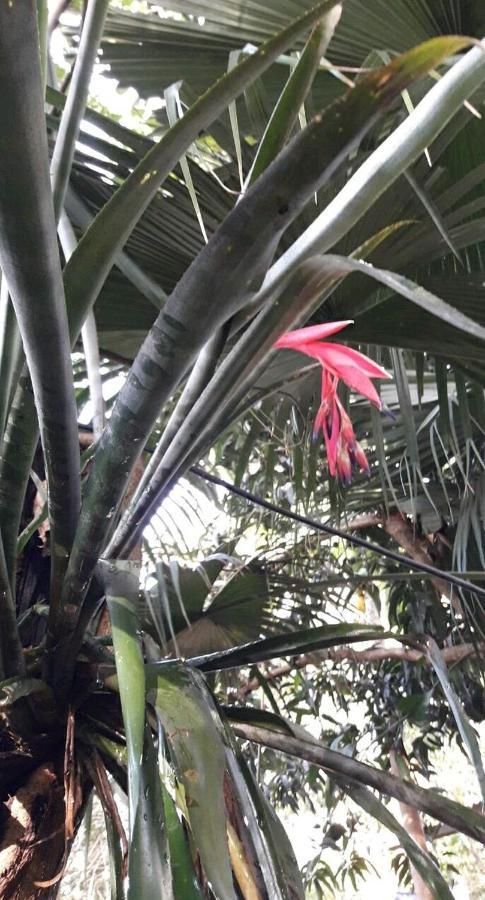 푸에르토이과수 Jardin De Naipi 2 아파트 외부 사진