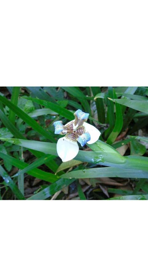 푸에르토이과수 Jardin De Naipi 2 아파트 외부 사진
