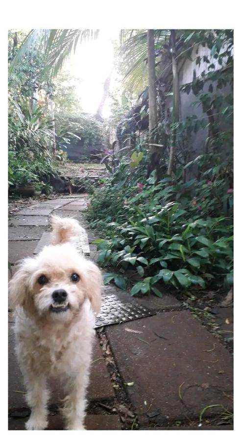 푸에르토이과수 Jardin De Naipi 2 아파트 외부 사진