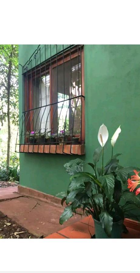 푸에르토이과수 Jardin De Naipi 2 아파트 외부 사진